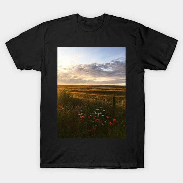 Countryside Sunset in Aberdeenshire, Scotland T-Shirt by emmalouvideos